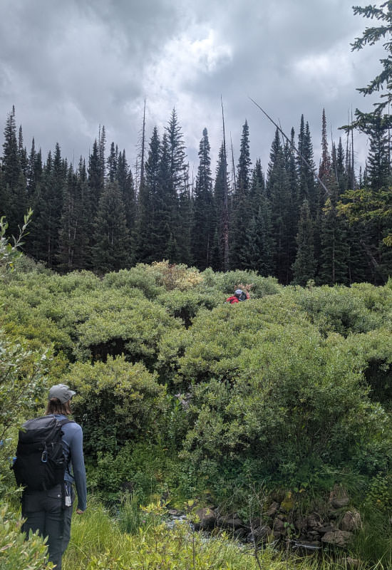 bearriveroutting4